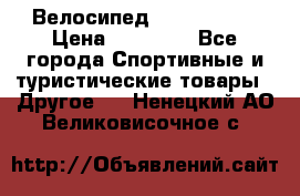 Велосипед Viva Castle › Цена ­ 14 000 - Все города Спортивные и туристические товары » Другое   . Ненецкий АО,Великовисочное с.